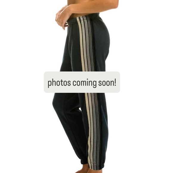 Aviator Nation Five Stripe Sweatpants Charcoal Grey - Picture 7 of 7